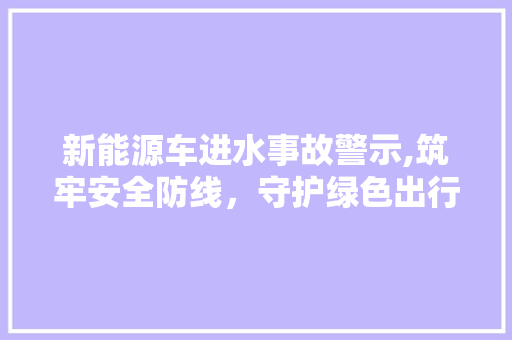 新能源车进水事故警示,筑牢安全防线，守护绿色出行