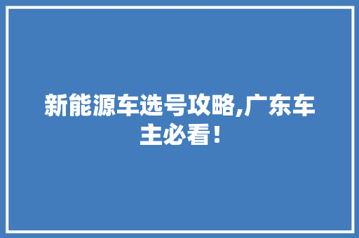 新能源车选号攻略,广东车主必看！