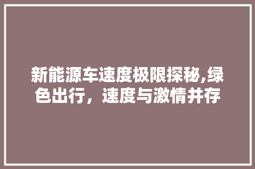 新能源车速度极限探秘,绿色出行，速度与激情并存