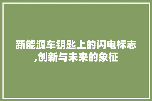 新能源车钥匙上的闪电标志,创新与未来的象征