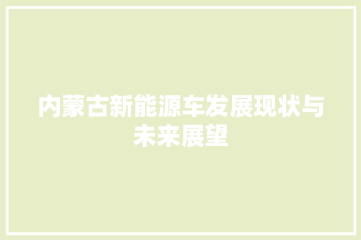 内蒙古新能源车发展现状与未来展望