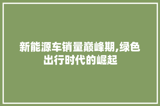 新能源车销量巅峰期,绿色出行时代的崛起