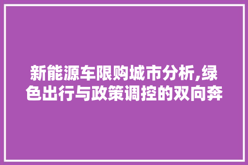 新能源车限购城市分析,绿色出行与政策调控的双向奔赴