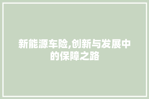 新能源车险,创新与发展中的保障之路