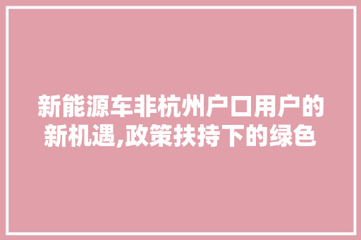 新能源车非杭州户口用户的新机遇,政策扶持下的绿色出行之路
