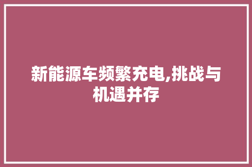 新能源车频繁充电,挑战与机遇并存