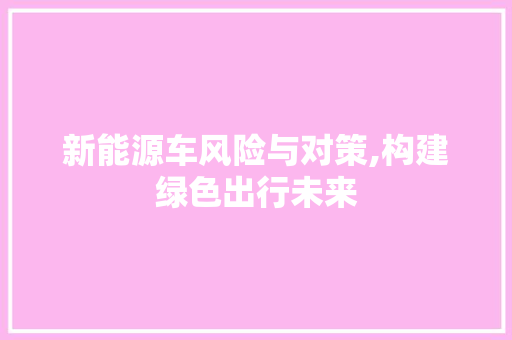 新能源车风险与对策,构建绿色出行未来