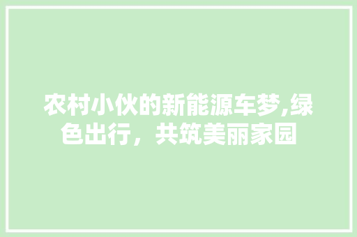 农村小伙的新能源车梦,绿色出行，共筑美丽家园