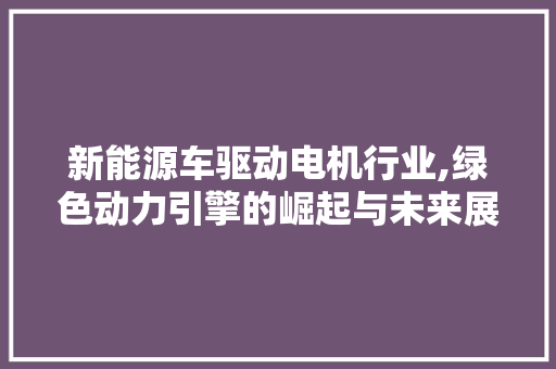 新能源车驱动电机行业,绿色动力引擎的崛起与未来展望