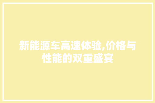 新能源车高速体验,价格与性能的双重盛宴