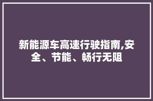 新能源车高速行驶指南,安全、节能、畅行无阻