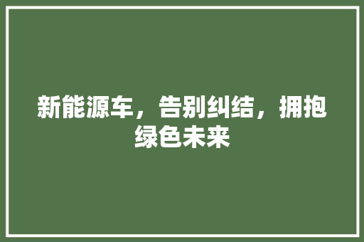 新能源车，告别纠结，拥抱绿色未来