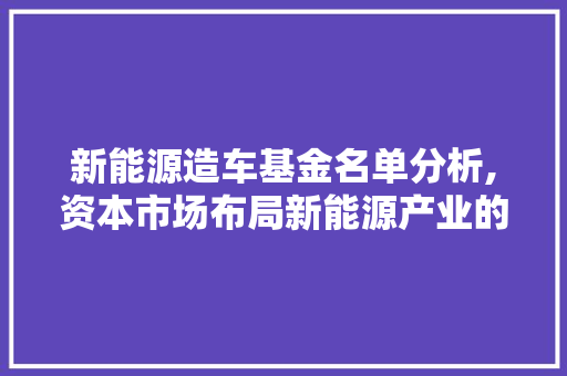 新能源造车基金名单分析,资本市场布局新能源产业的先锋力量