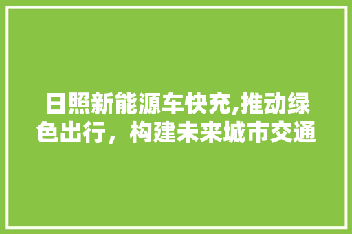 日照新能源车快充,推动绿色出行，构建未来城市交通蓝图