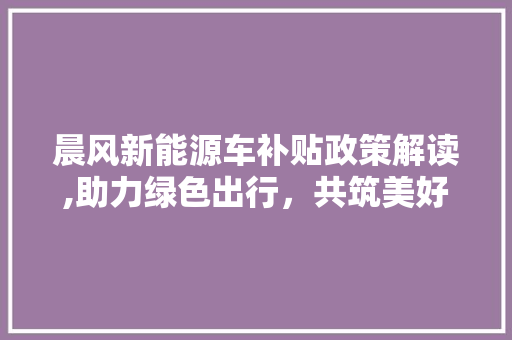 晨风新能源车补贴政策解读,助力绿色出行，共筑美好未来
