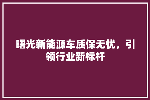曙光新能源车质保无忧，引领行业新标杆