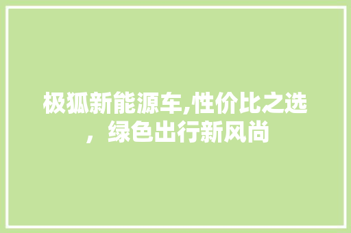 极狐新能源车,性价比之选，绿色出行新风尚