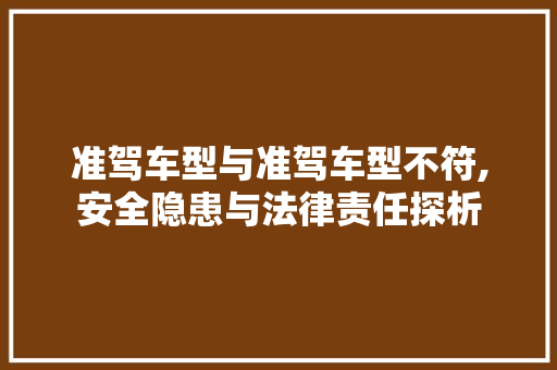准驾车型与准驾车型不符,安全隐患与法律责任探析