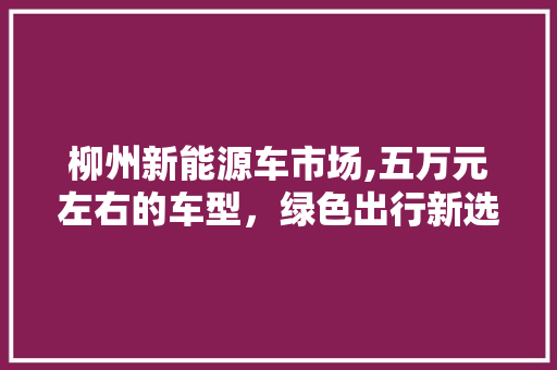 柳州新能源车市场,五万元左右的车型，绿色出行新选择