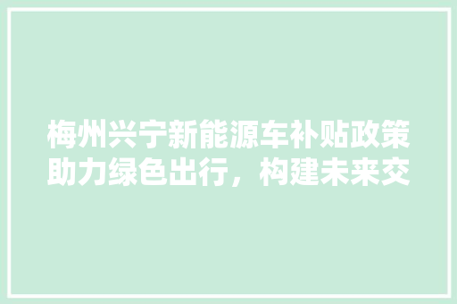 梅州兴宁新能源车补贴政策助力绿色出行，构建未来交通新格局