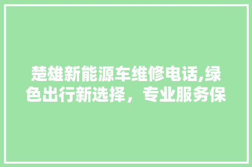 楚雄新能源车维修电话,绿色出行新选择，专业服务保安全