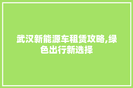 武汉新能源车租赁攻略,绿色出行新选择