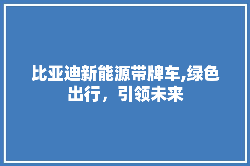 比亚迪新能源带牌车,绿色出行，引领未来
