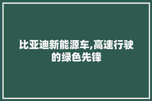 比亚迪新能源车,高速行驶的绿色先锋