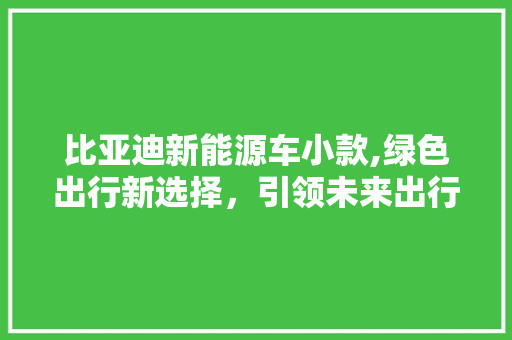 比亚迪新能源车小款,绿色出行新选择，引领未来出行潮流