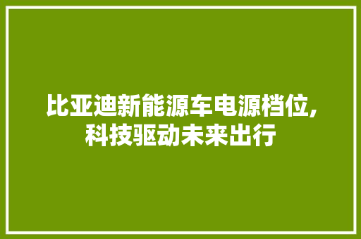 比亚迪新能源车电源档位,科技驱动未来出行