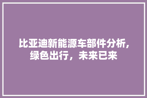 比亚迪新能源车部件分析,绿色出行，未来已来