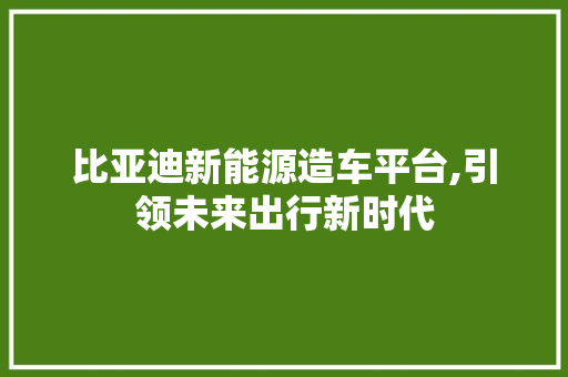 比亚迪新能源造车平台,引领未来出行新时代