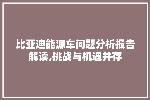 比亚迪能源车问题分析报告解读,挑战与机遇并存