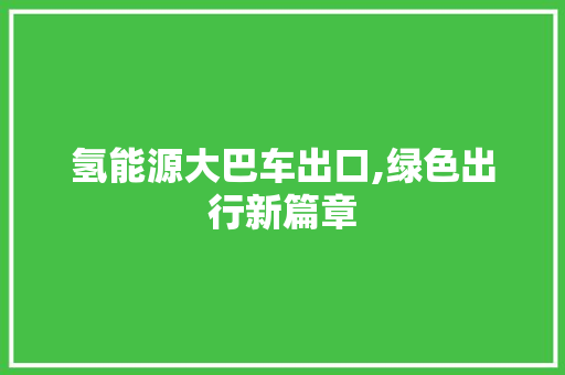 氢能源大巴车出口,绿色出行新篇章