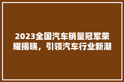 2023全国汽车销量冠军荣耀揭晓，引领汽车行业新潮流