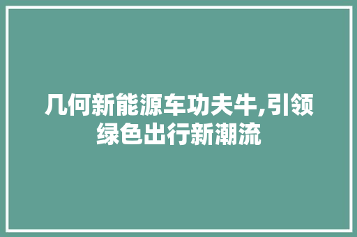 几何新能源车功夫牛,引领绿色出行新潮流 汽车保养