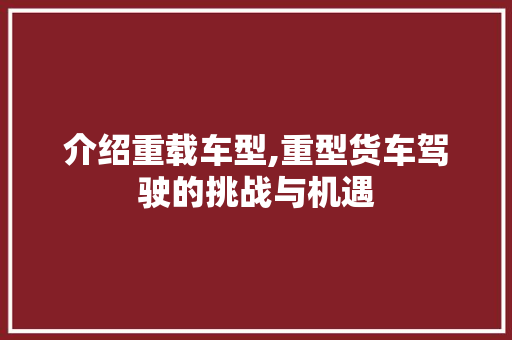 介绍重载车型,重型货车驾驶的挑战与机遇 汽车轮胎