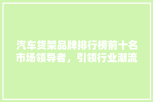 汽车货架品牌排行榜前十名市场领导者，引领行业潮流 汽车展览