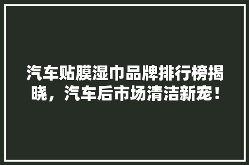 汽车贴膜湿巾品牌排行榜揭晓，汽车后市场清洁新宠！ 智能驾驶