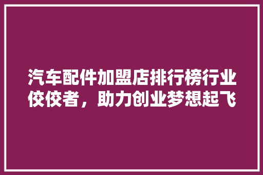 汽车配件加盟店排行榜行业佼佼者，助力创业梦想起飞