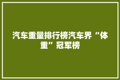 汽车重量排行榜汽车界“体重”冠军榜