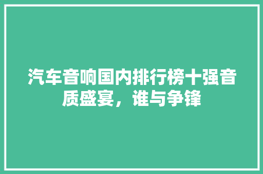 汽车音响国内排行榜十强音质盛宴，谁与争锋