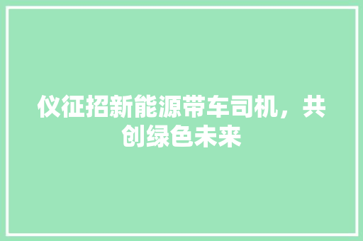仪征招新能源带车司机，共创绿色未来