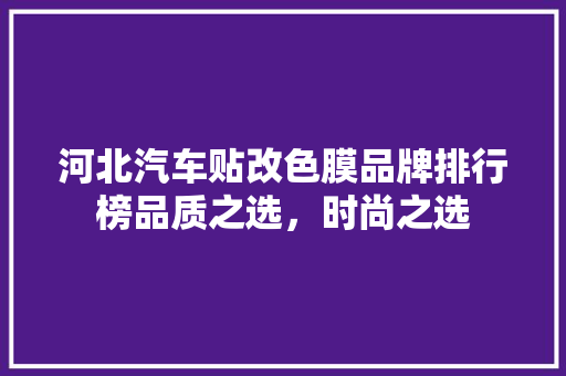 河北汽车贴改色膜品牌排行榜品质之选，时尚之选 车载导航