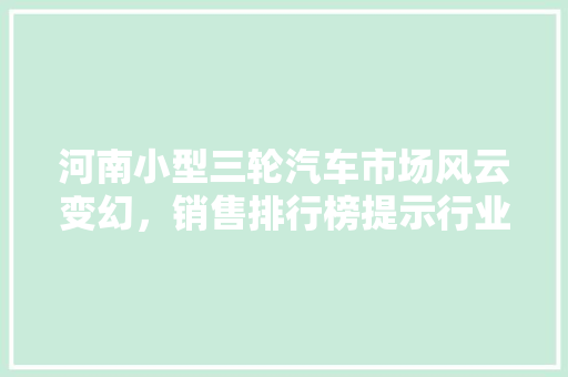 河南小型三轮汽车市场风云变幻，销售排行榜提示行业趋势 车载导航