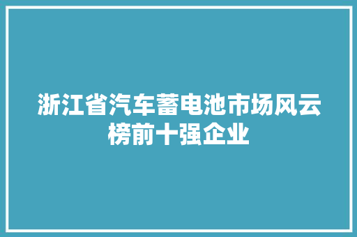 浙江省汽车蓄电池市场风云榜前十强企业