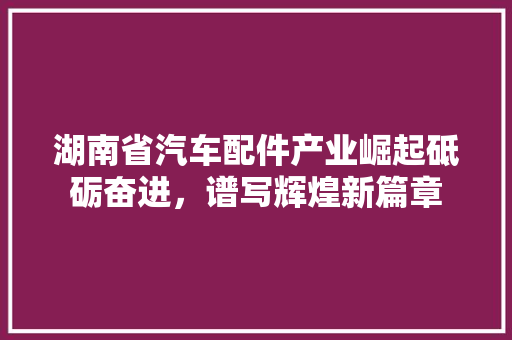 湖南省汽车配件产业崛起砥砺奋进，谱写辉煌新篇章
