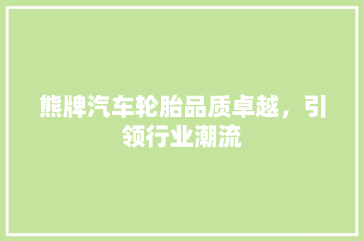 熊牌汽车轮胎品质卓越，引领行业潮流