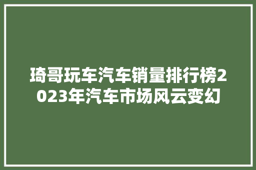 琦哥玩车汽车销量排行榜2023年汽车市场风云变幻