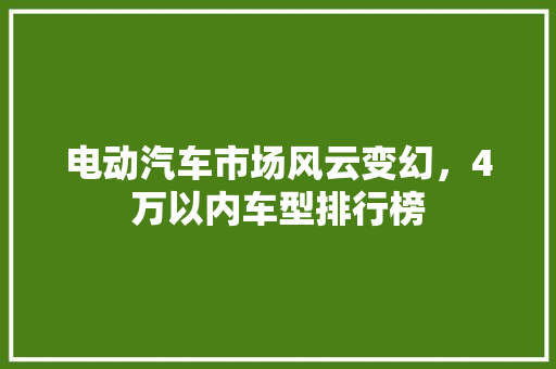 电动汽车市场风云变幻，4万以内车型排行榜